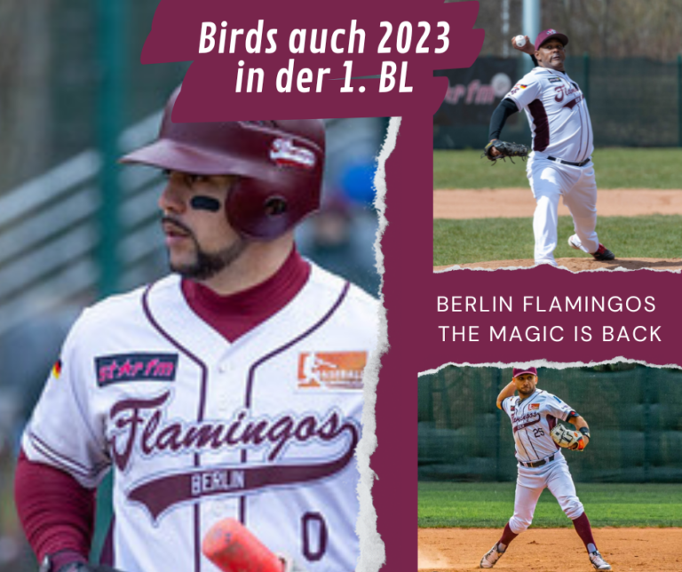 Bundesliga 2023 – die Birds sind dabei