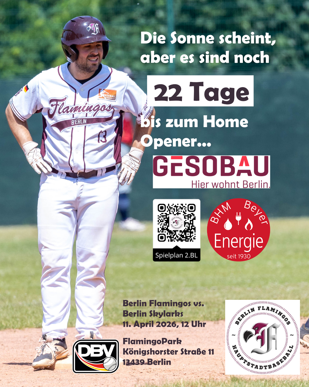 Frühling, Sonne und Baseball