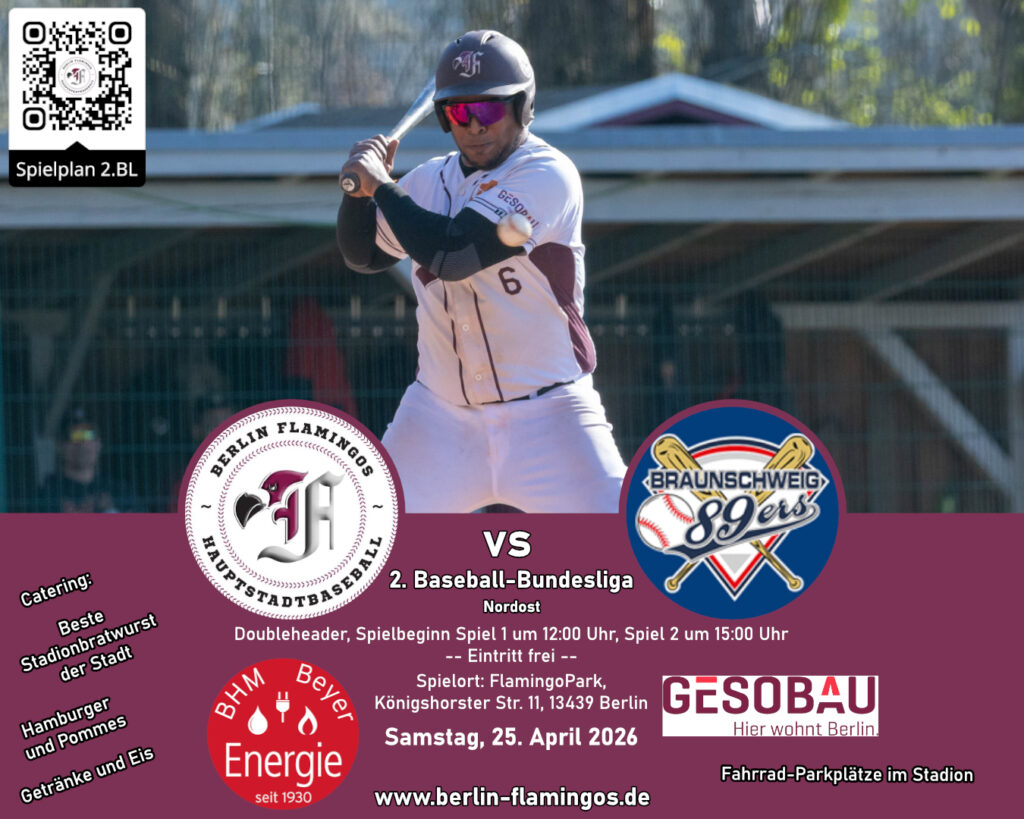 Spieltagsplakat Braunschweig 89ers bei den Berlin Flamingos