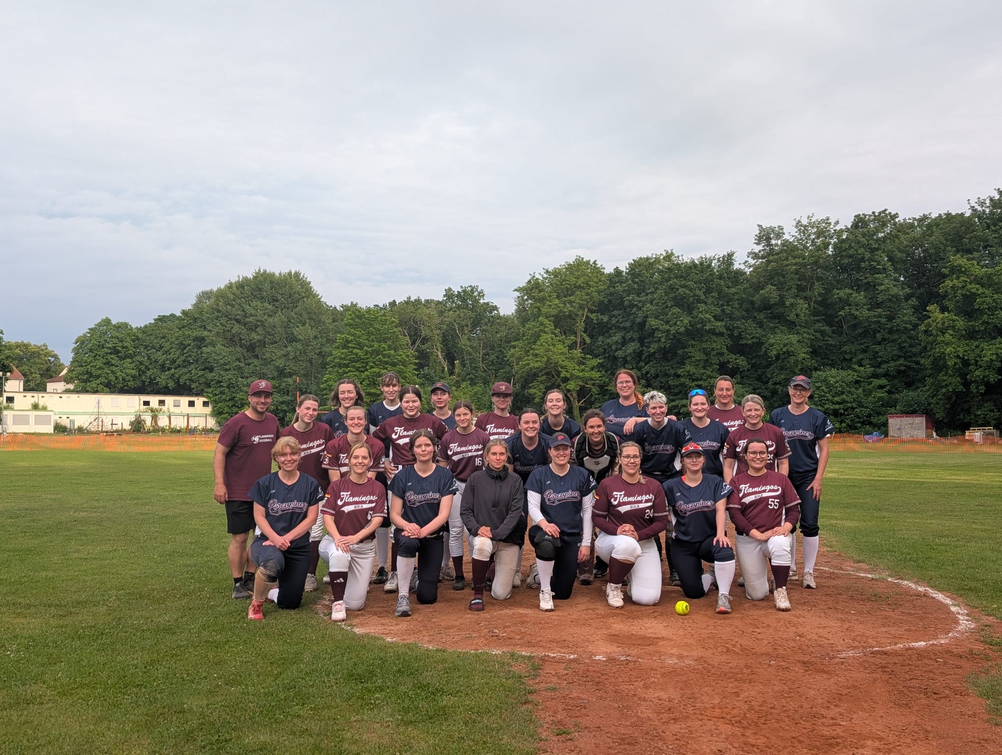 Softballteam zeigt Kampfgeist in Potsdam